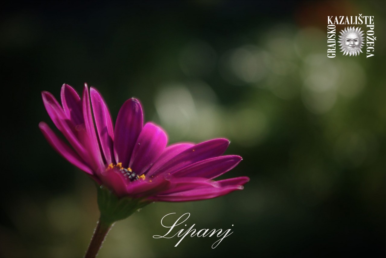 lipanj-2